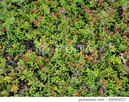 Tour de Montblanc 69040057