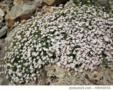 Tour de Montblanc Tour de Montblanc 69040058