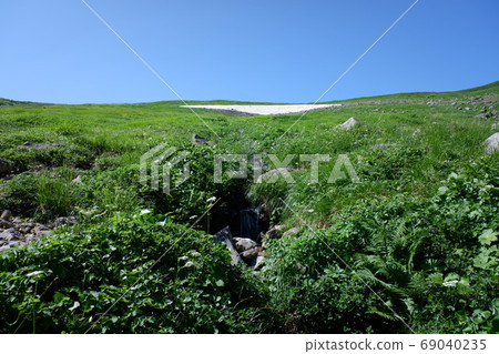 Gassan and alpine plants 69040235