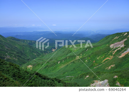 Gassan and alpine plants 69040264