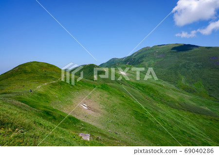 Gassan and alpine plants 69040286