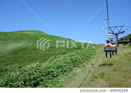 Gassan and alpine plants 69040299