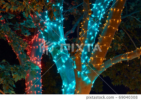 close view of tree illumination garland at night, city street close view of tree illumination garland at night, city street 69040308