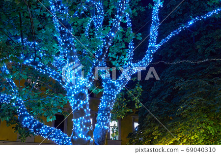 close view of tree illumination garland at night, city street close view of tree illumination garland at night, city street 69040310