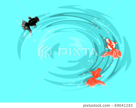 Illustration of a goldfish seen from above 69041283