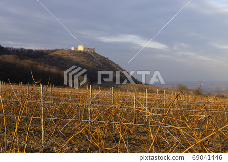 ruins of Devicky Castle with vineyards, Czech ruins of Devicky Castle with vineyards, Czech 69041446