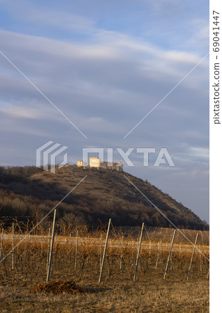 ruins of Devicky Castle with vineyards, Czech ruins of Devicky Castle with vineyards, Czech 69041447