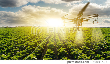 Drone sprayer flies over the agricultural field 69041505