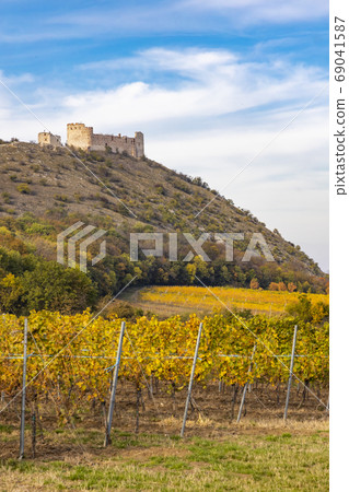 ruins of Devicky Castle with vineyards, Czech ruins of Devicky Castle with vineyards, Czech 69041587