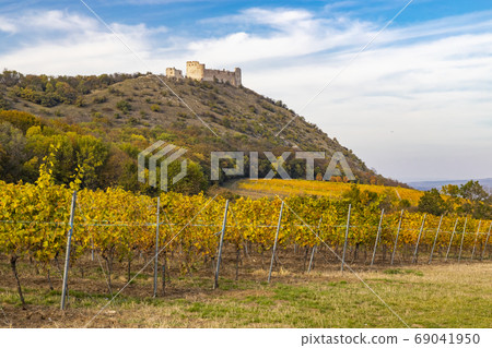 ruins of Devicky Castle with vineyards, Czech ruins of Devicky Castle with vineyards, Czech 69041950