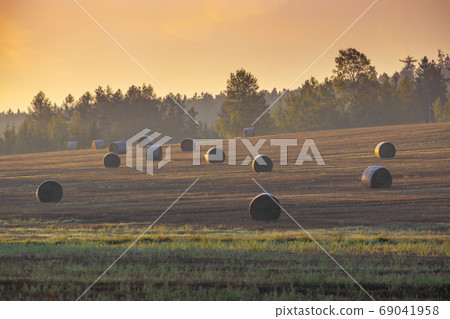 Sumava sumset near Svihov, Western Bohemia, Czech 69041958