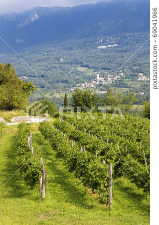 Vipava valley in Gorice region, Slovenia Vipava valley in Gorice region, Slovenia 69041966