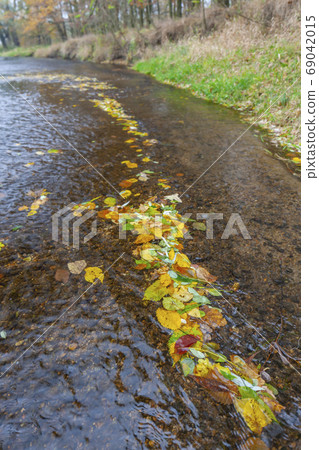 river Dyje South Moravia Czech Republic river Dyje South Moravia Czech Republic 69042015