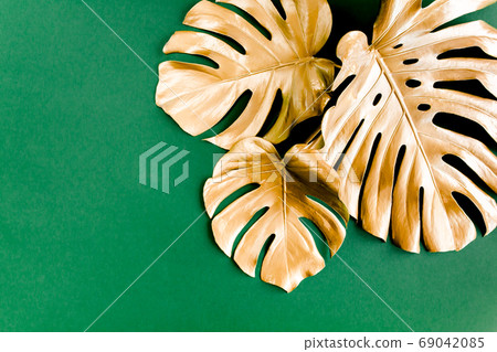 Gold tropical palm leaves Monstera on green background. Flat lay, top view minimal concept. Gold tropical palm leaves Monstera on green background. Flat lay, top view minimal concept. 69042085