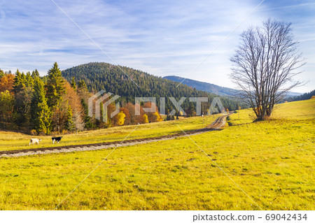 autumn landscape with forest railway near saddle 69042434