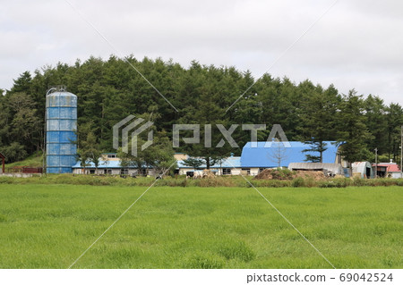 北海道Ku路的一個農場風景 69042524