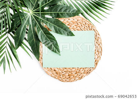 Tropical palm leaves Aralia, paper blank isolated on white background. Tropical nature concept. Tropical palm leaves Aralia, paper blank isolated on white background. Tropical nature concept. 69042653