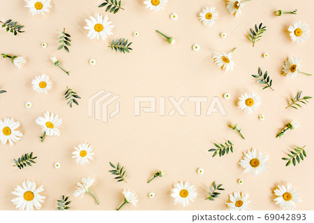 Frame made of chamomiles, petals, leaves on beige background. Flat lay, top view floral background. Frame made of chamomiles, petals, leaves on beige background. Flat lay, top view floral background. 69042893