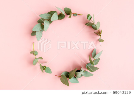 Wreath frame made of branches eucalyptus and leaves isolated on pink background. lay flat, top view 69043139
