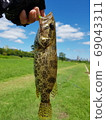 Sogari, freshwater fish 69043311