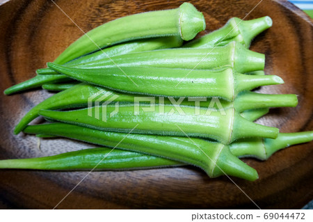 丸秋葵 丸秋葵 69044472