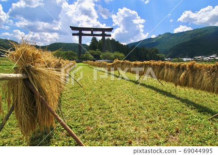 Autumn landscape of Daisaihara, Kumano Hongu Taisha, Tanabe City, Wakayama Prefecture Autumn landscape of Daisaihara, Kumano Hongu Taisha, Tanabe City, Wakayama Prefecture 69044995