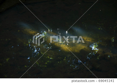 River and light 2 River and light 2 69045141