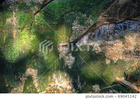 Moss growing on rocks 69045142