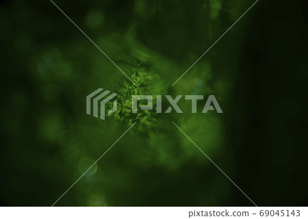 濁度和反射 濁度和反射 69045143