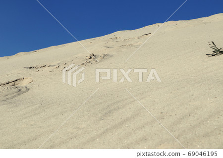 Sand dunes close-up nature. Yellow sand background 69046195