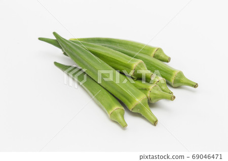 在白色背景上的秋葵 69046471