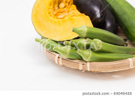 夏季蔬菜在猴子 69046488