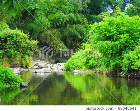 Fresh green and stream 69046641