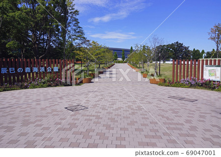 Tatsumi's Forest Ocean Park 69047001