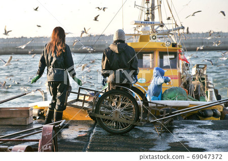 Scenery of fishing port Landed Tatsugahama Wakayama Prefecture Scenery of fishing port Landed Tatsugahama Wakayama Prefecture 69047372