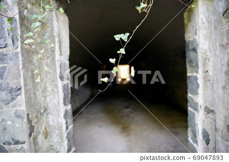 Vines and plants 69047893