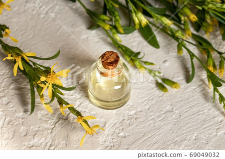 A bottle of essential oil with European goldenrod twigs 69049032