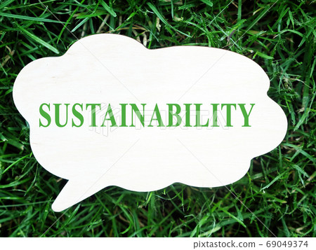 The word sustainability on a small board lying on the green grass. 69049374