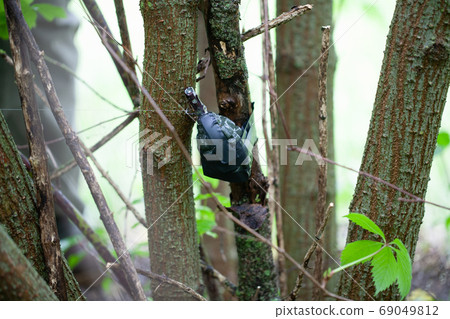 Booby Trap IED with tripwire 69049812