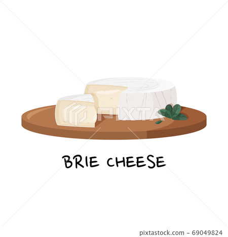Brie cheese on a wooden tray vector illustration. Realistic food image isolated on white background. 69049824
