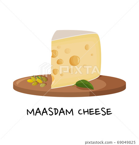 Large piece of Maasdam cheese on a wooden tray. Realictic vector illustration for meal design. Isolated on white background. Large piece of Maasdam cheese on a wooden tray. Realictic vector illustration for meal design. Isolated on white background. 69049825