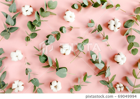 Textured background, pattern made of branches eucalyptus, leaves and cotton isolated on pink background. lay flat, top view 69049994