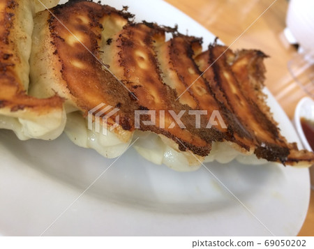 Gyoza Gyoza 69050202