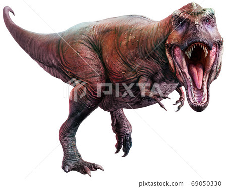 3d illustration, dinosaur, tyrannosaurus 69050330