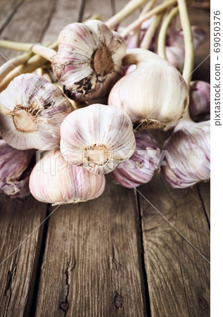 Close up picture of fresh organic garlic. 69050376