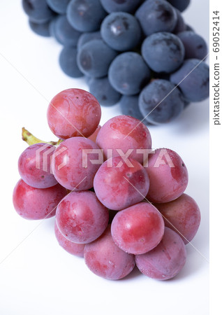 Plenty! Large Grapes/Kyoho, Queen Nina Plenty! Large Grapes/Kyoho, Queen Nina 69052414