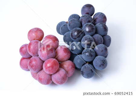 好多！大型葡萄/巨峰，尼娜皇后 69052415