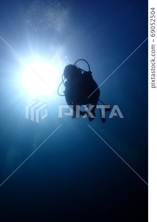 diving diving 69052504