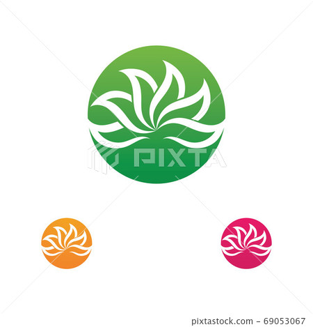Beauty Vector lotus icon Beauty Vector lotus icon 69053067