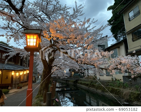 櫻花 櫻花 69053182